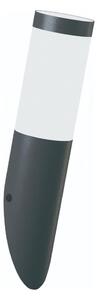 Brilagi - Външна стенна лампа ELIA 1xE27/20W/230V IP44 антрацит