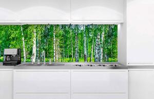 Фототапет за кухня - брезова горичка 180 x 60 см