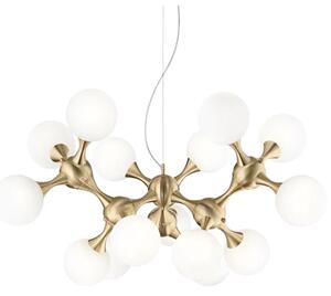 Ideal Lux - Полилей на кабел NODI 15xE14/28W/230V Ø 105 cm месинг/бял