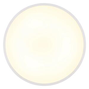 Globo 41566-15W - LED таванно осветително тяло NIELSEN LED/15W/230V 4000K Ø 23 cm бяло