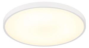 Globo 41566-15W - LED таванно осветително тяло NIELSEN LED/15W/230V 4000K Ø 23 cm бяло