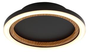 Globo 67356D - LED таванно осветително тяло DAKARI I LED/12W/230V 3000K диам. 20,5 см
