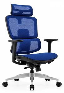 Ергономичен стол Ergo Breeze, с 4D облегалка за глава и синхронен механизъм - W720×D665×H1200-1260mm, синьо