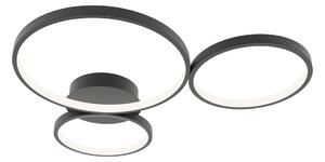 Таванна лампа MAVER SPL-20452-3-BK ITALUX