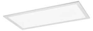 Eglo 55149 - LED RGBW Димируем LED панел за повърхностен монтаж, 12W/230V, 30x60 см, бял, с дистанционно управление