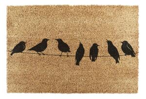 Изтривалка от кокосови влакна 40x60 cm Birds On a Wire – Artsy Doormats