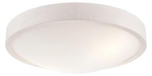 Потолен лампион MEDA 2xE27/60W/230V