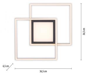 JUST LIGHT. 14144-18 - LED Плафониера ASMIN LED/26W/230V