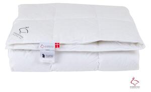 Целогодишна олекотена завивка и пълнеж с пълнеж от пера 200x140 cm The Ugly Duckling – Ringsted Dun