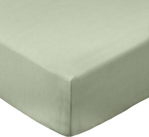 Зелен еластичен чаршаф от памук перкал 90x190 cm Cotton Percale – Bianca