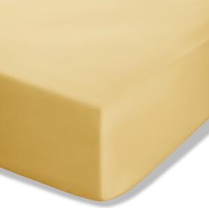 Жълт еластичен чаршаф от перкал 90x190 cm Easy Iron Percale – Catherine Lansfield