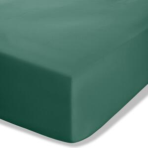 Тъмнозелен еластичен чаршаф от перкал 90x190 cm Easy Iron Percale – Catherine Lansfield