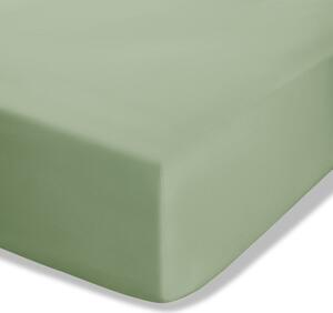Зелен еластичен чаршаф от перкал 90x190 cm Easy Iron Percale – Catherine Lansfield