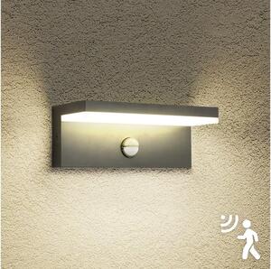 Brilagi-LED Външно стенно осветително тяло със сензор TESSI LED/10W/230V, антрацит, IP54