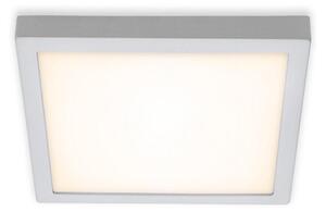 Briloner 7142-014 - LED Плафон FIRE LED/21W/230V 3000K