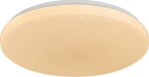 Rabalux 71445 - LED димируем таванен плафон DANNY 2 LED/22W/230V 3000-6500K Ø 33 см + с дистанционно управление