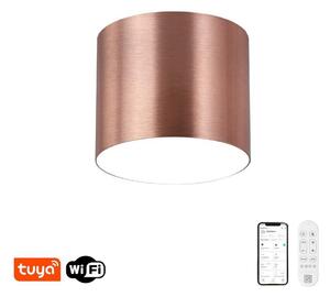 Immax NEO 07319L - LED таванно осветително тяло с възможност за димиране RONDATE 18W/230V 11,5 cm Wi-Fi Tuya розово