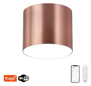 Immax NEO 07320L - LED димируема таванна лампа RONDATE 32W/230V 16,5 cm Wi-Fi Tuya розова