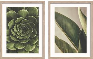 Печатни картини в комплект 2 бр. с включена рамка 30x40 cm Beauty Green – Styler