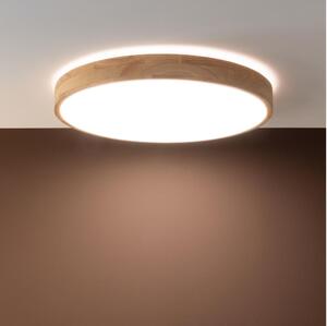 Brilliant - LED с възможност за димиране таванно осветително тяло SLIMLINE LED/60W/230V + дистанционно управление