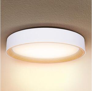 Brilagi -LED Димируема лампа LARIOS LED/60W/230V 3000-6500K ø 49 см бял + д.у