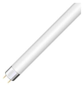 Флуоресцентна тръба T8 G13/36W/103V 4000K 120 cm