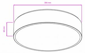 Brilagi - LED таванно осветително тяло за баня POOL, 24 W, 230 V, Ø 30 см, IP54, хром