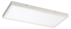 Rabalux 71077 - LED Панел за повърхностен монтаж DAMEK LED/24W/230V 4000K 60x30 см