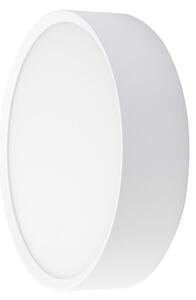 BRUMBERG LED външна стенна лампа EYE, отворена, бяла, CCT, IP65, Бял, Коридор, Алуминий, Модерен