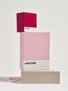 Sinsay - Кутия за съхранение Pantone - розов