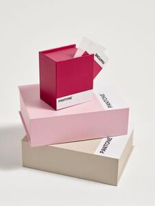 Sinsay - Кутия за съхранение Pantone - фуксия