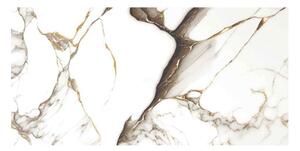 Гранитогрес Raimonda Black - 60 x 120 cm