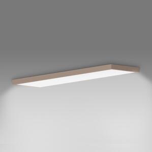 Brilagi-LED Таванно осветително тяло за баня FRAME LED/50W/230V 120x30 cm IP44 бежово