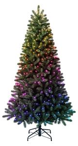 Twinkly TG70P4425P01 - LED RGBW коледна елха TREE, 435 светодиода, 2,1 m, Wi-Fi