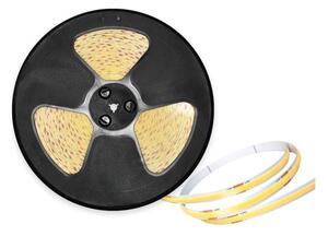 LED Външна лента TRAMO LED/50W/24V 5m IP65 6500K