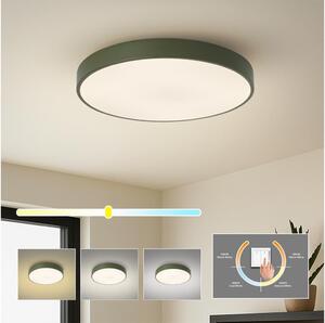 Brilagi - LED таванно осветително тяло POOL LED/60W/230V 3000/4000/6000K 50 см зелено