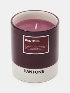 Sinsay - Свещ Pantone - бледомораво