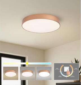 Brilagi - LED таванен плафон POOL LED/60W/230V 3000/4000/6000K Ø 50 cm бронзов