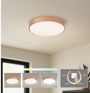 Brilagi - LED таванно осветително тяло POOL LED/48W/230V 3000/4000/6000K Ø 40 см бронзово