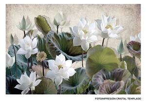 Пластно Waterlily 120 x 4 x 80 cm