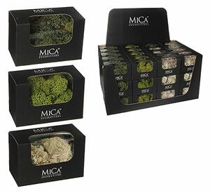 Декоративно Растение Mica Decorations 50 g Мъх