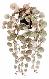 Декоративно Растение Mica Decorations Ceropegia Woodii 10 x 46 x 12 cm Изкуствен За затваряне