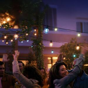 Philips Hue LED верига от светлини Festavia Globe 14 м 20 бр. IP65, Затъмняване, Черен, Метал, Модерен