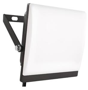 LED прожектор TAMBO EVO LED/30W/230V 4000K IP65 черен