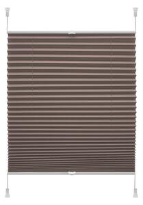 Кафява ролетна щора 42,5x150 cm Plisé Verona – Gardinia