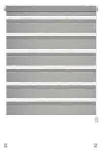 Сива ролетна щора ден и нощ 42,5x150 cm Zebra – Gardinia