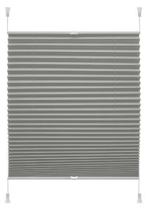 Антрацитна ролетна щора 42,5x150 cm Plisé Verona Termo – Gardinia
