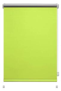 Светлозелена ролетна щора 42,5x150 cm Mini Termo – Gardinia