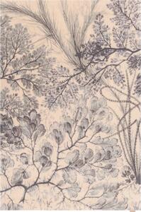 Вълнен килим в бежов и ментов цвят 133x190 cm V&A Calisia Kelp – Agnella