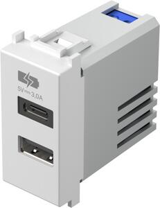 TEM Розетка 2хUSB за зареждане тип A+C 3A 15W 1M, цвят Бял гланц, Modul - EM68PW